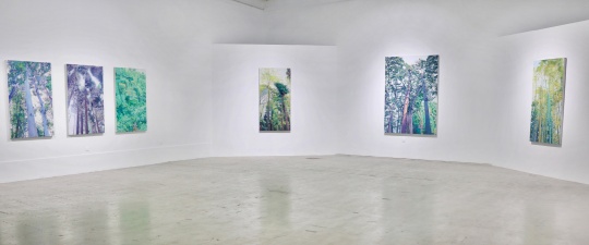 “朝暉夕陰”后的“含道暎物” 空間站蔣國蓉個(gè)展開幕
