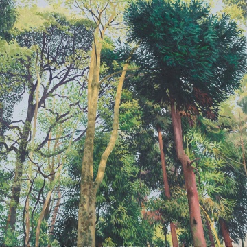 《小品6》50x50cm  布面油畫   2016
