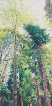 《朝暉》 90x180cm 布面油畫 2012
