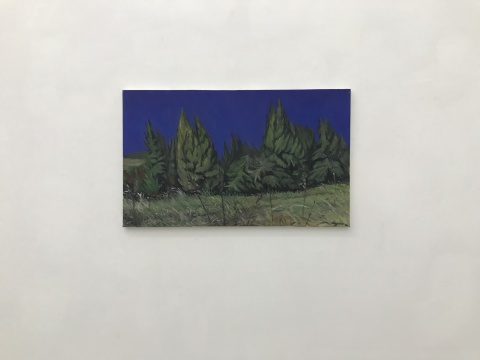 蘭空間郭強(qiáng)個(gè)展，回到海灣，回到寫生，回到自然界
