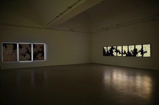 “何盛源:黃金算法”展覽現場
“何盛源:黃金算法”展覽現場
