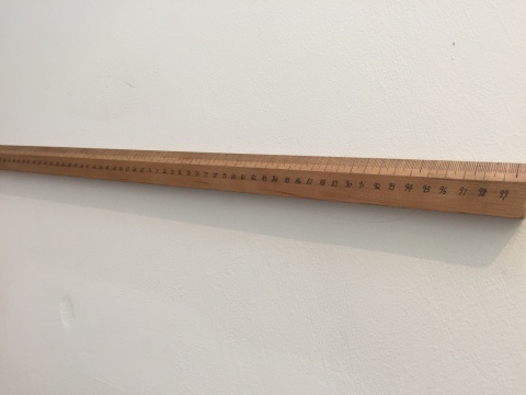 宋建樹《幾乎標(biāo)準》955×30×10cm 楸木 2010
