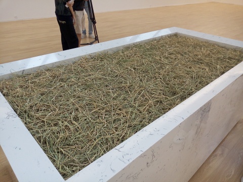 趙趙新展亮相唐人，“塔克拉瑪干”的駱駝來到展廳