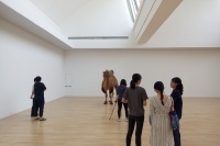 趙趙新展亮相唐人，“塔克拉瑪干”的駱駝來到展廳,崔燦燦,趙趙,杰羅姆·桑斯