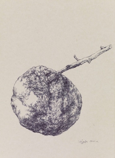 《橘子》 27×20.5cm 紙本圓珠筆 2015
