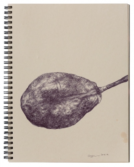 《梨子》 27×20.5cm 紙本圓珠筆 2016
