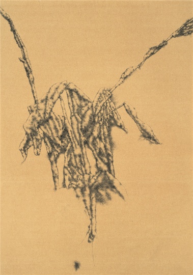 《美人蕉》 72×51cm 紙本圓珠筆 2011
