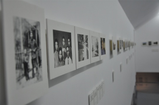 “滄浪回響——羅爾純紀(jì)念展”展覽現(xiàn)場(chǎng)
