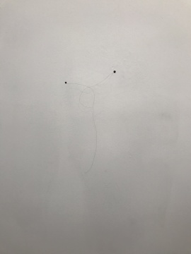 《世界與我無(wú)關(guān)》 尺寸可變 長(zhǎng)頭發(fā)（藝術(shù)家本人的），墻面 2017
