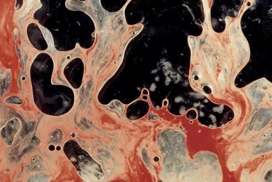 《精與血之三》 （“體液”系列），1990
