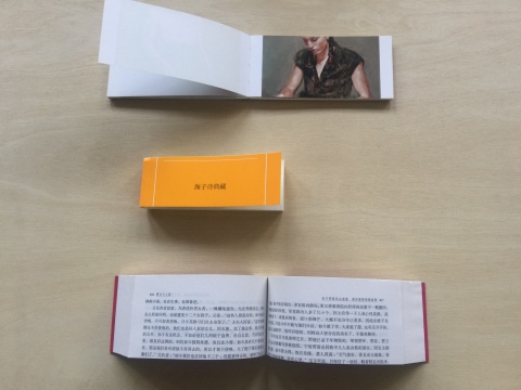 紙今《停頓》 印刷品 2017 （海子: 5.1×14.1×2cm；紅樓夢： 7.2×14.8×3.3cm；Borremans: 7.1×15×1.2cm）
