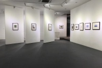 第零空間推出安念念、徐冰雙個展“四季?逸”,徐冰,盛葳,安念念