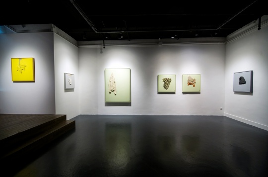 “溫差”系列作品展出現(xiàn)場

