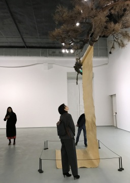 郭工 《一棵松》 500×260×450cm 樹(shù)木等綜合材料 2017
