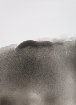 茅小浪 非宣水墨 (3) 105×75cm 2017
