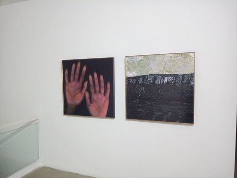 《幸存者筆記》 81×81cm×2 攝影 2010
