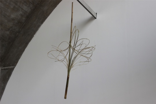 蕭昱個展“易位”亮相佩斯北京，賦予“竹”全新的觀看方式