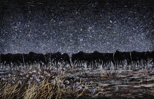 《星空下的蕓蕓眾生——2號(hào)》 230 x 150cm 布面綜合材料 2017-2018
