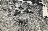 三遠(yuǎn)當(dāng)代藝術(shù)中心更名重啟“神之格思”，回到藝術(shù)本體給出“藝格”判斷