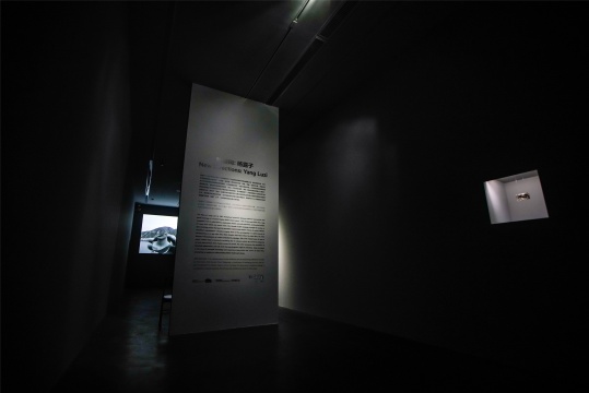 “新傾向：楊露子”UCCA展覽現(xiàn)場(chǎng)

