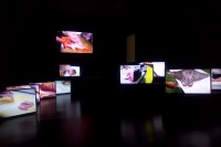 獨角獸空間新展開幕，看兩位年輕藝術(shù)家理解的“圣殤”,向振華,宋佳益