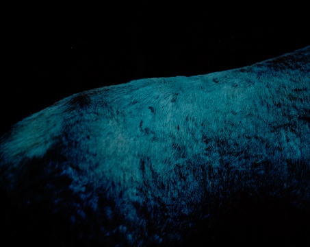 陳卓 《荒蠻故事No.7 馬背山》 80x100cm 收藏級(jí)藝術(shù)微噴，哈內(nèi)穆勒硫化鋇 2016
