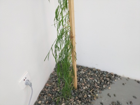 希帕畫廊雙個(gè)展開幕，李菁、張業(yè)鴻的兩種敘事