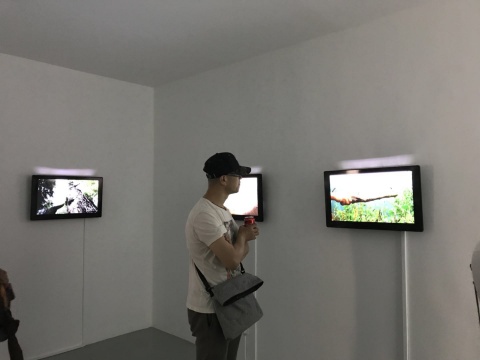 張震宇個展現(xiàn)場
