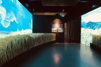“你，我的繆斯”光影藝術(shù)展 邂逅西方經(jīng)典作品中的美麗光景