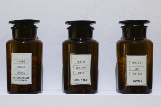 安東尼·蒙塔達(dá)斯 《轉(zhuǎn)譯：藥丸》局部，2006-2014

