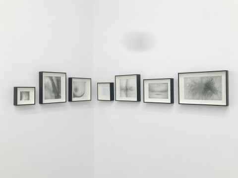 李歡畢業(yè)于中央美術(shù)學(xué)院版畫系，這次展出這一系列作品都是關(guān)于身體的。很多都是局部的，如同被放大的單詞。
