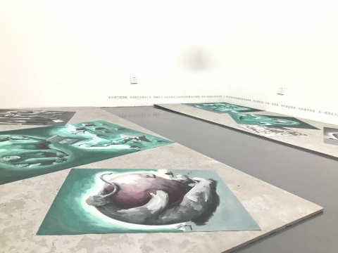 楊濤作品展覽現(xiàn)場(chǎng)
