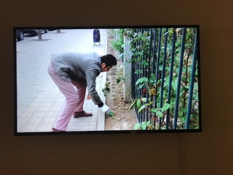 司建偉 影像作品
