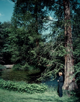 安德里亞斯·穆埃 《在樹下》 159.3×129.7×4.5cm 激光沖印 2008
