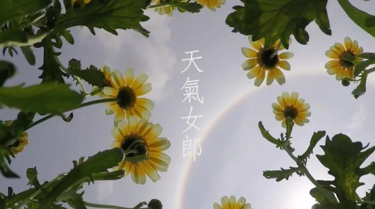 勞麗麗，《天氣女郎—Halo Daisy》，單頻道錄像，彩色、粵語(yǔ)、英文字幕，6分33秒，2016，圖片由藝術(shù)家提供

