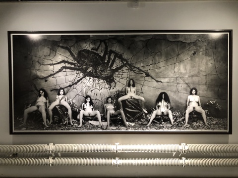 《盤絲洞》330cm×150cm 2016