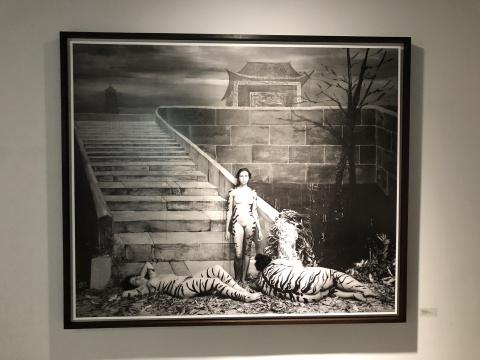 《胭脂虎》180cm×150cm. 2016