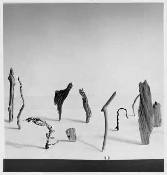 植田正治，《小小的漂流者們》，1948年
