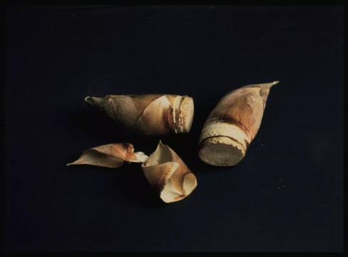 植田正治，選自《幻視游間》系列，1987-1992年
