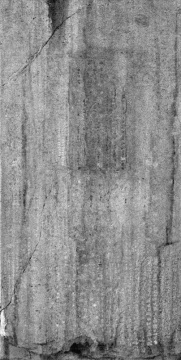 秋麥  《無字碑》，2007，攝影墨本、仿宣棉紙，416 x 210 cm
