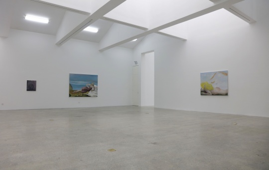 “欲望天堂”展覽現(xiàn)場
