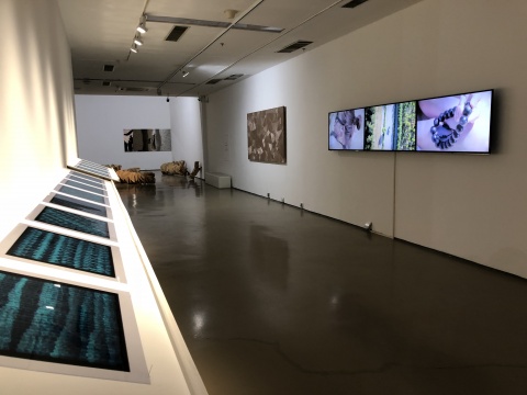 周欽珊膠片作品、馬秋莎架上裝置及視頻作品
