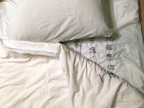 陳秋林《一天》床單230×160cm，被套200×150cm，枕頭74×48cm 裝置（棉布、頭發(fā)）2014-2016

