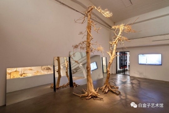 展覽現(xiàn)場
