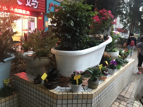 廣州居民和竹絲崗社區(qū)居民共同創(chuàng)作的《民眾花園》
