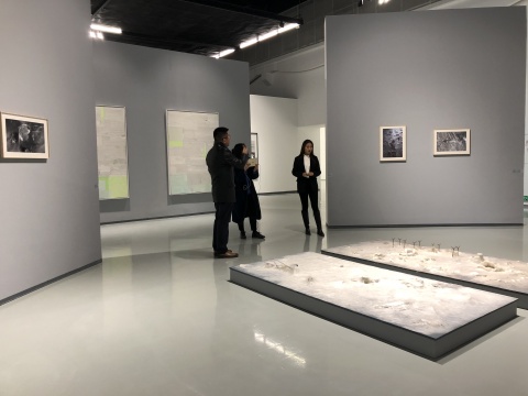 北京蜂巢跨年展“被遮蔽的桃花源”&“匹斯與老虎” 今日開(kāi)幕