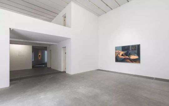 王興偉個(gè)展“面相之謎”，麥勒畫廊草場(chǎng)地空間展覽現(xiàn)場(chǎng)
