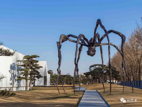 路易絲·布爾喬亞《媽媽》，927.1×891.5×1023.6cm 鋼，大理石 1999，泰特美術(shù)館收藏。松美術(shù)館“路易絲·布爾喬亞：永恒的絲線”展覽現(xiàn)場（展出時間2019年3月24-6月23日），攝影：JJYPHOTO
