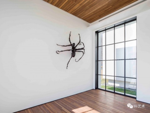 路易斯·布爾喬亞《蜘蛛IV》 青銅，墻面作品203.2 x 180.3 x 53.3 cm 1996 圖片版權(quán)伊斯頓基金會VAGA（ARS） 松美術(shù)館展覽現(xiàn)場 攝影：JJYPHOTO
