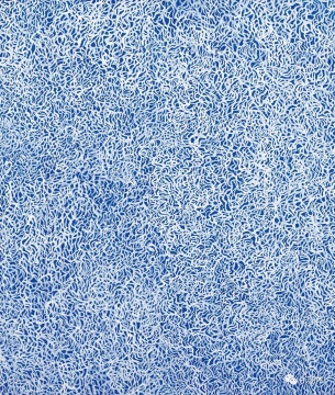 草間彌生 《雨之二》53 × 45.5 cm 亞克力彩畫布 1988
估價(jià): HKD 1,600,000 – 2,600,000

